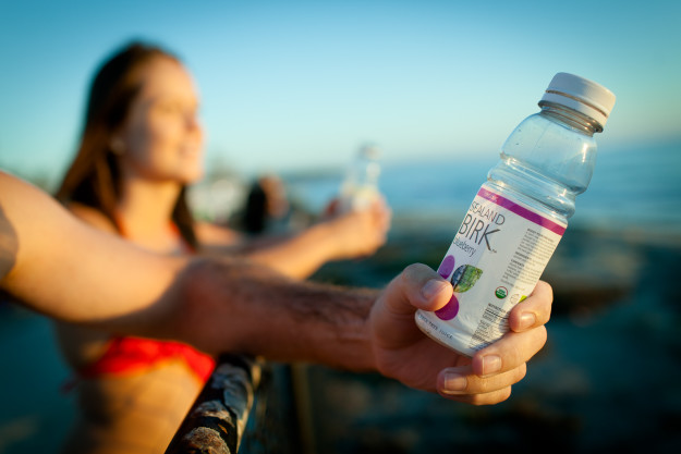 Sealand Birk Camping