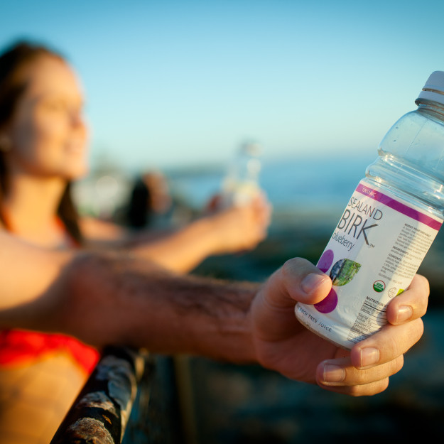 Sealand Birk Camping